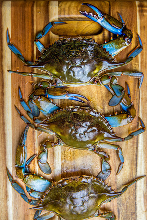 NC Blue Crabs, Locals Seafood
